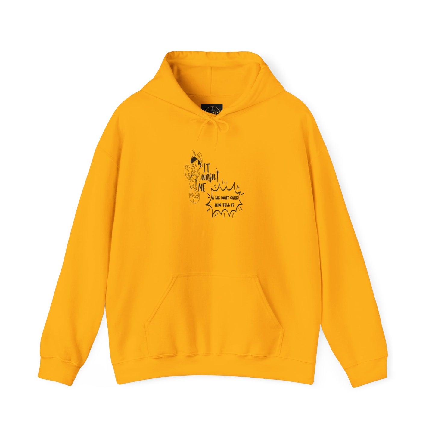 Hooded Sweatshirt - A Lie Don't Care