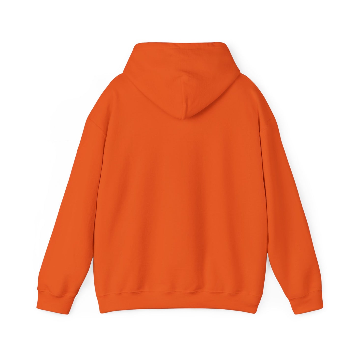 Hooded Sweatshirt - A Lie Don't Care