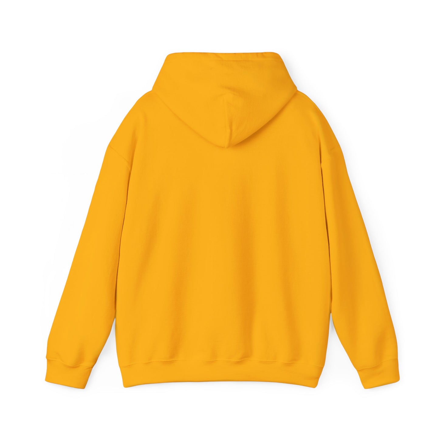 Hooded Sweatshirt - A Lie Don't Care