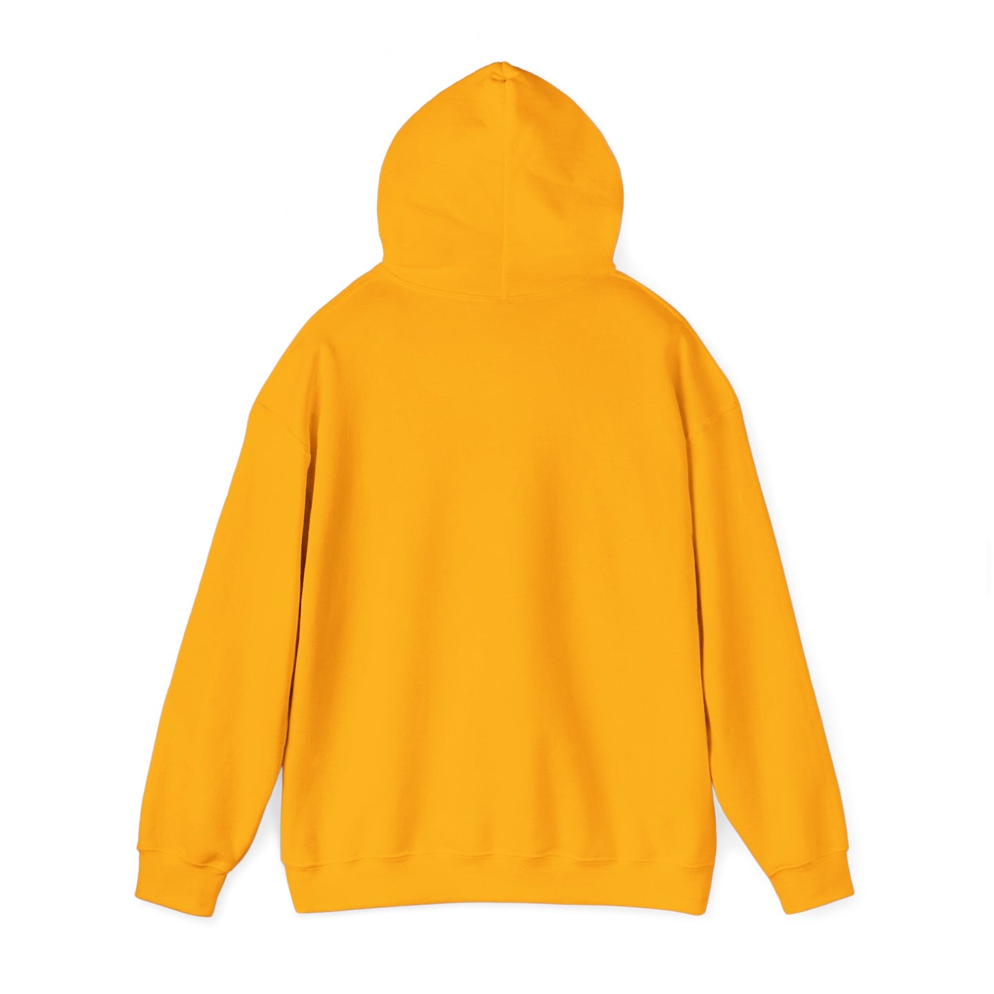 Hooded Sweatshirt - A Lie Don't Care