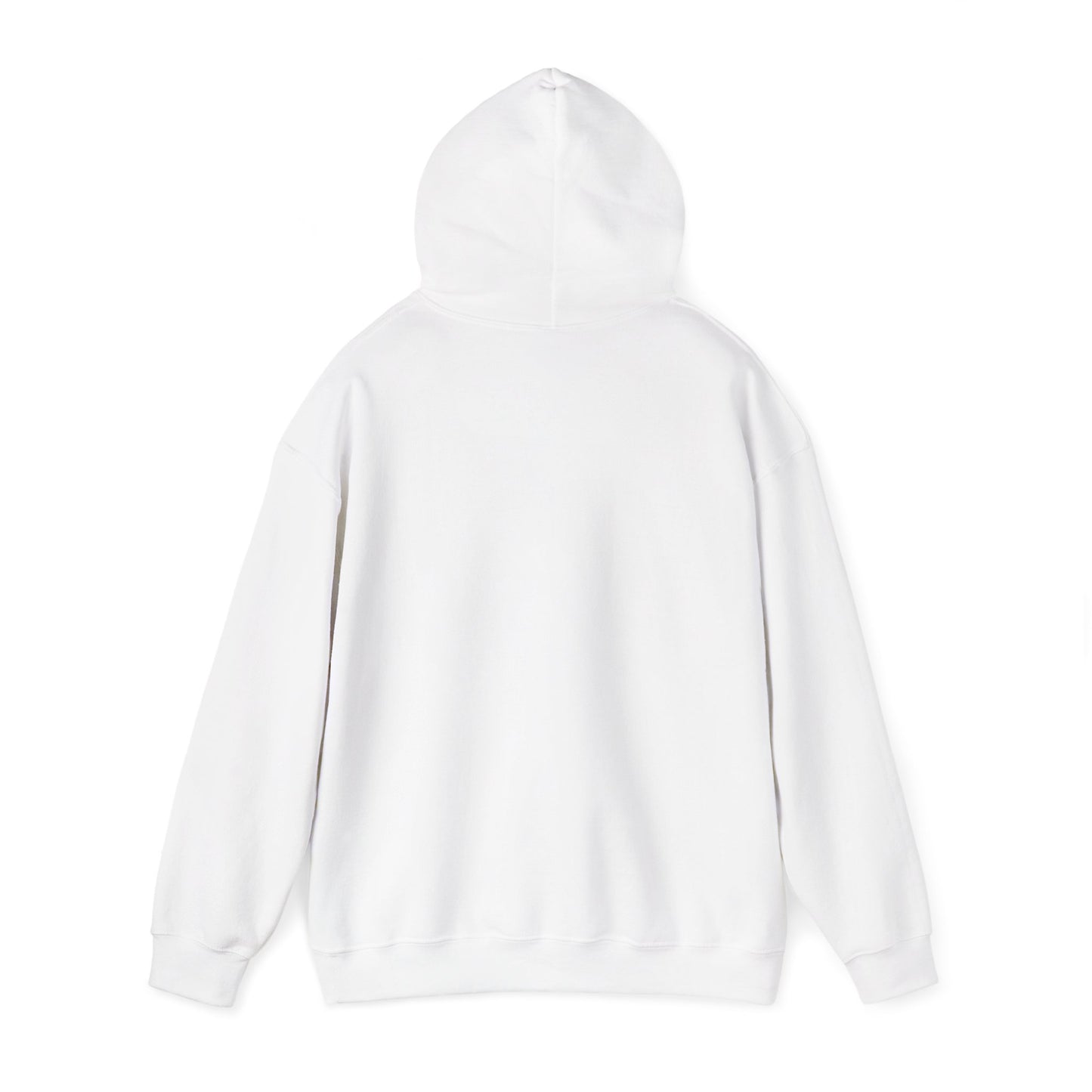 Hooded Sweatshirt - A Lie Don't Care