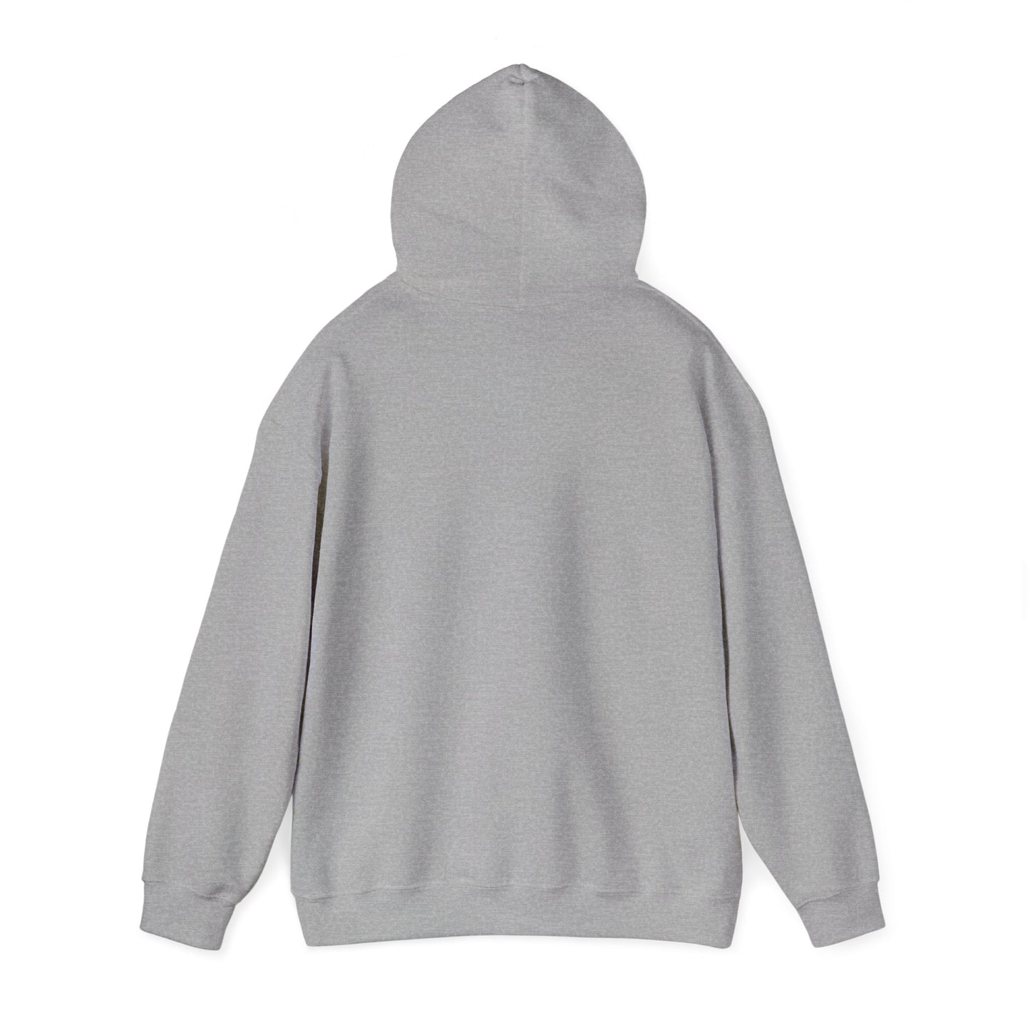 Hooded Sweatshirt - A Lie Don't Care