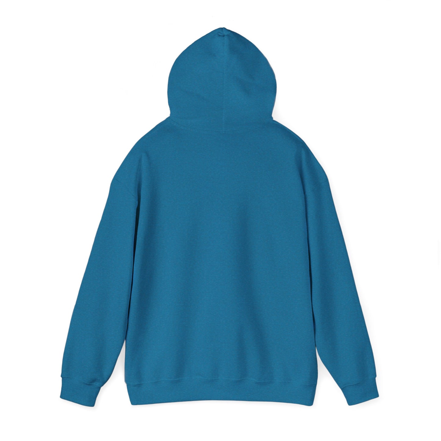 Hooded Sweatshirt Pinocchio and a Lie Design