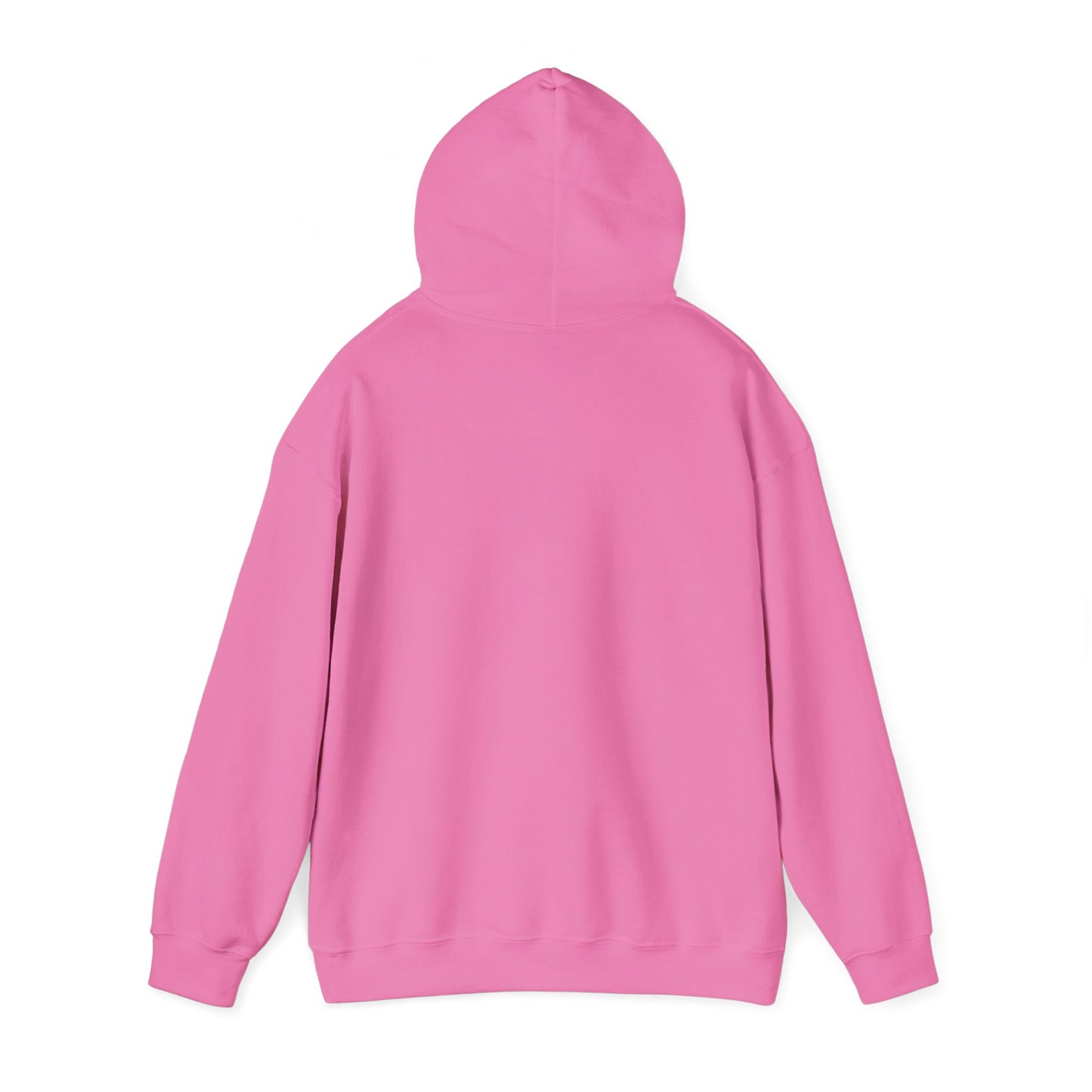 Hooded Sweatshirt - A Lie Don't Care