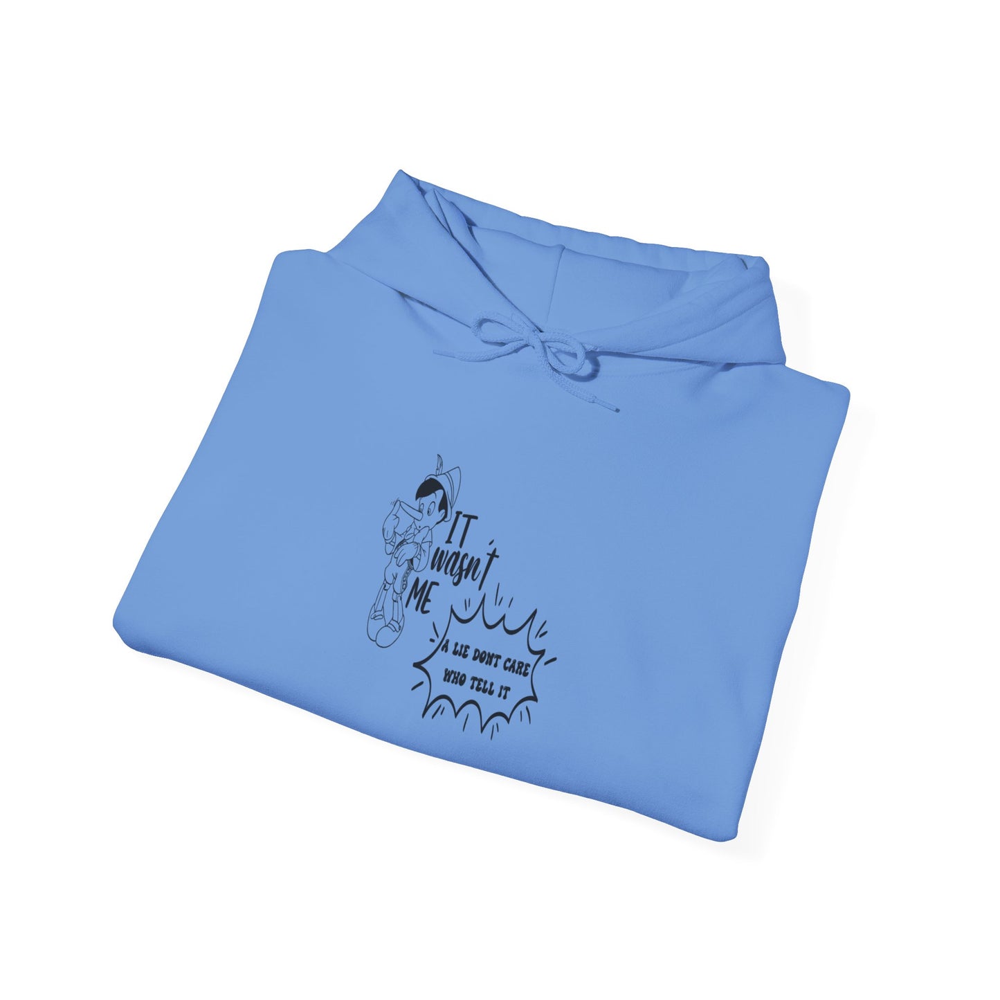 Hooded Sweatshirt - A Lie Don't Care