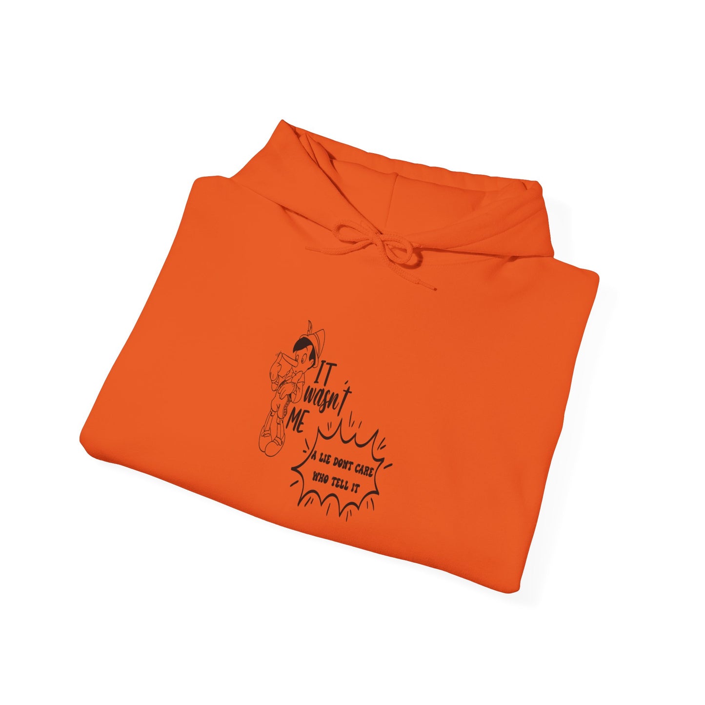 Hooded Sweatshirt - A Lie Don't Care