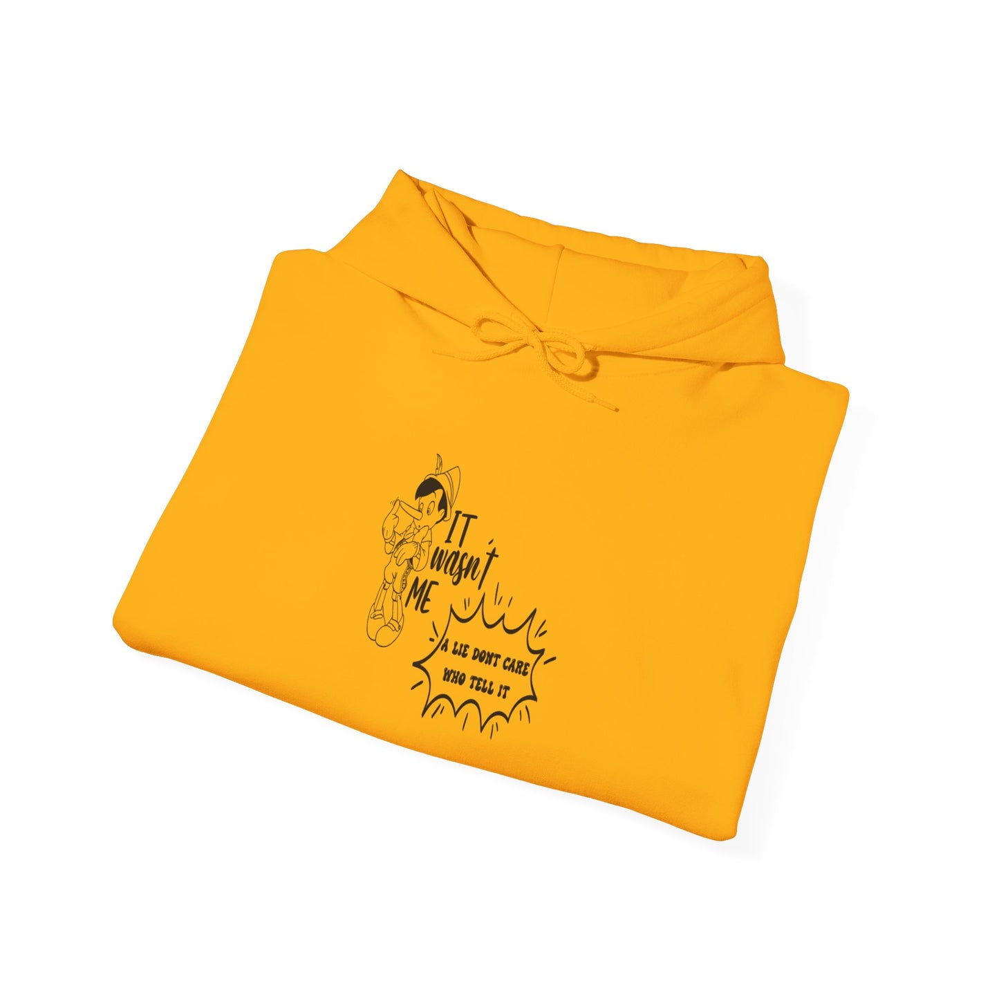 Hooded Sweatshirt - A Lie Don't Care