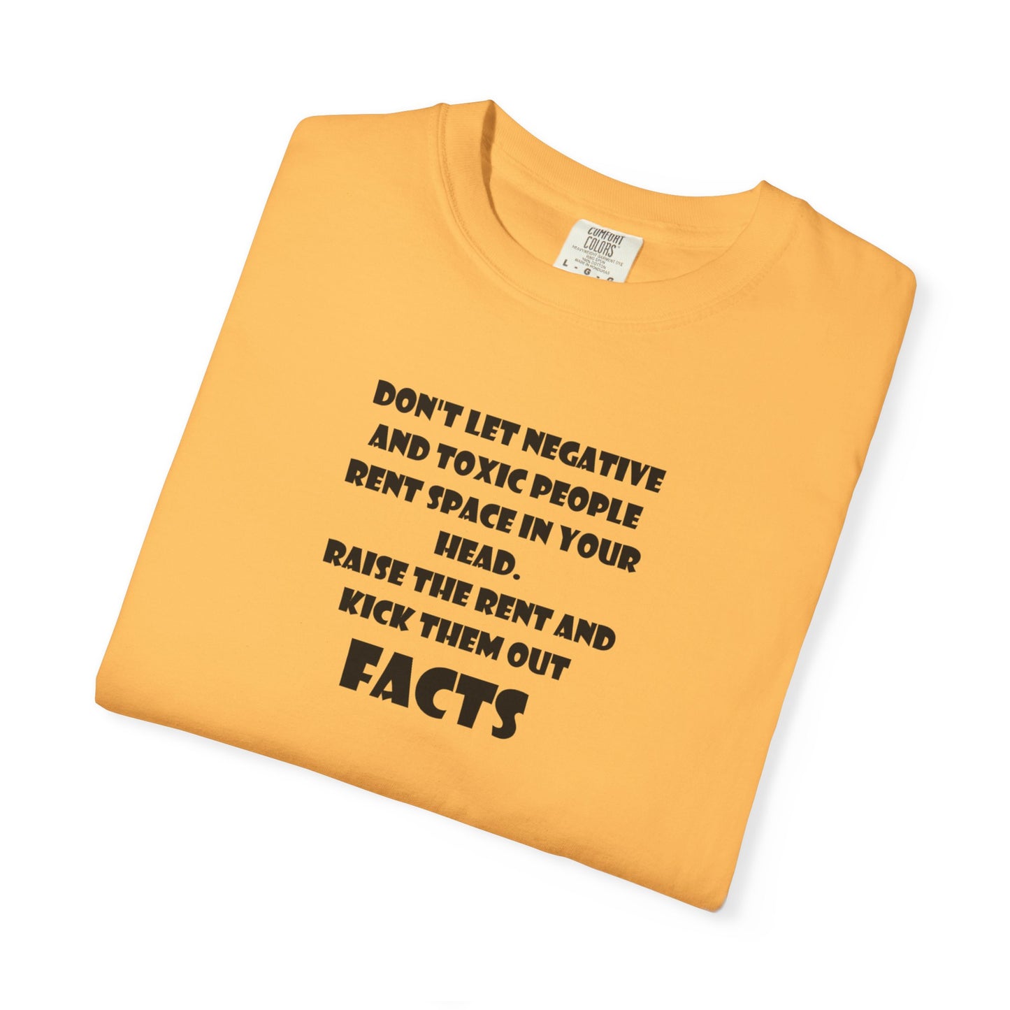 Graphic T-Shirt - Don't Let Negative Toxic People Rent Space In Your Head