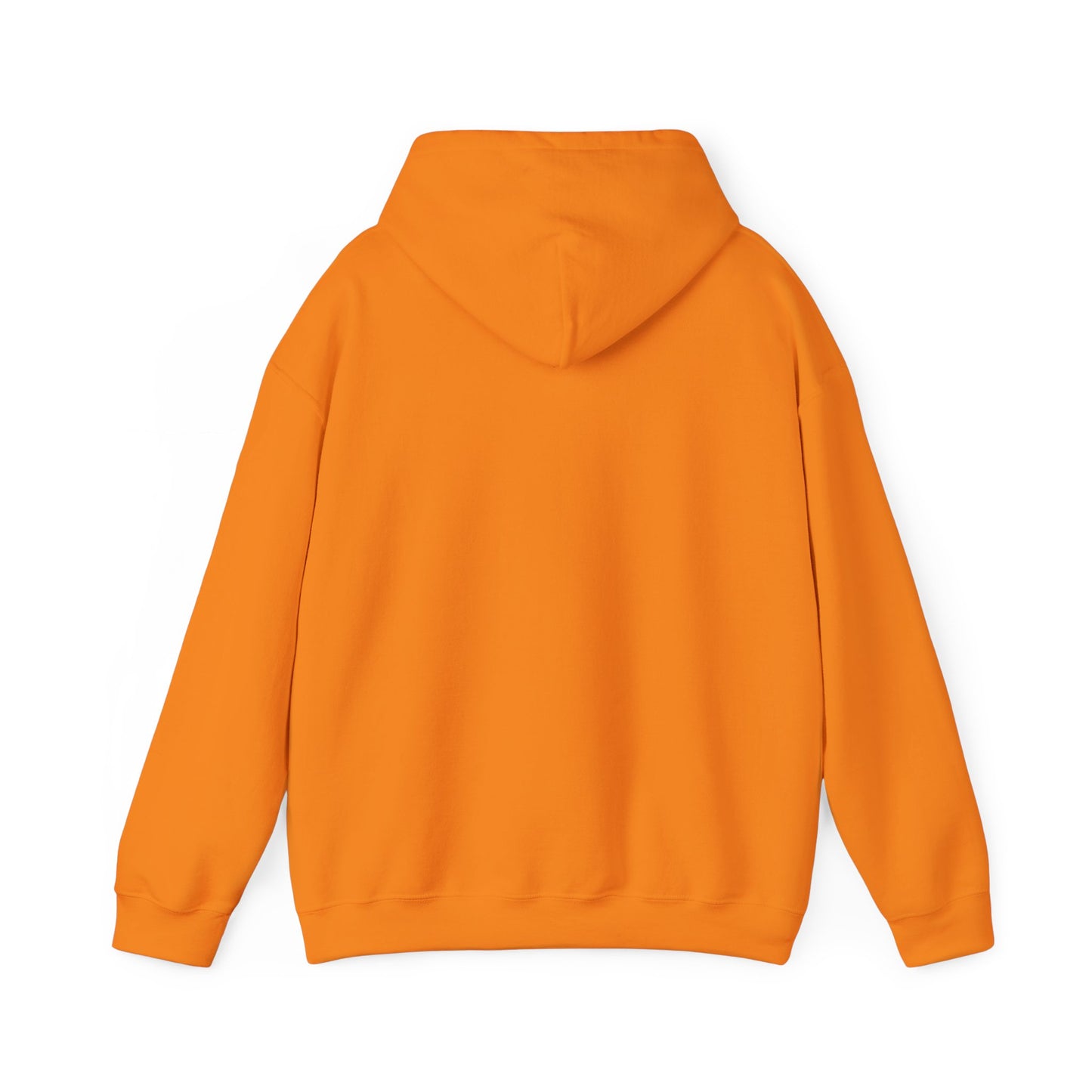 Hooded Sweatshirt - A Lie Don't Care