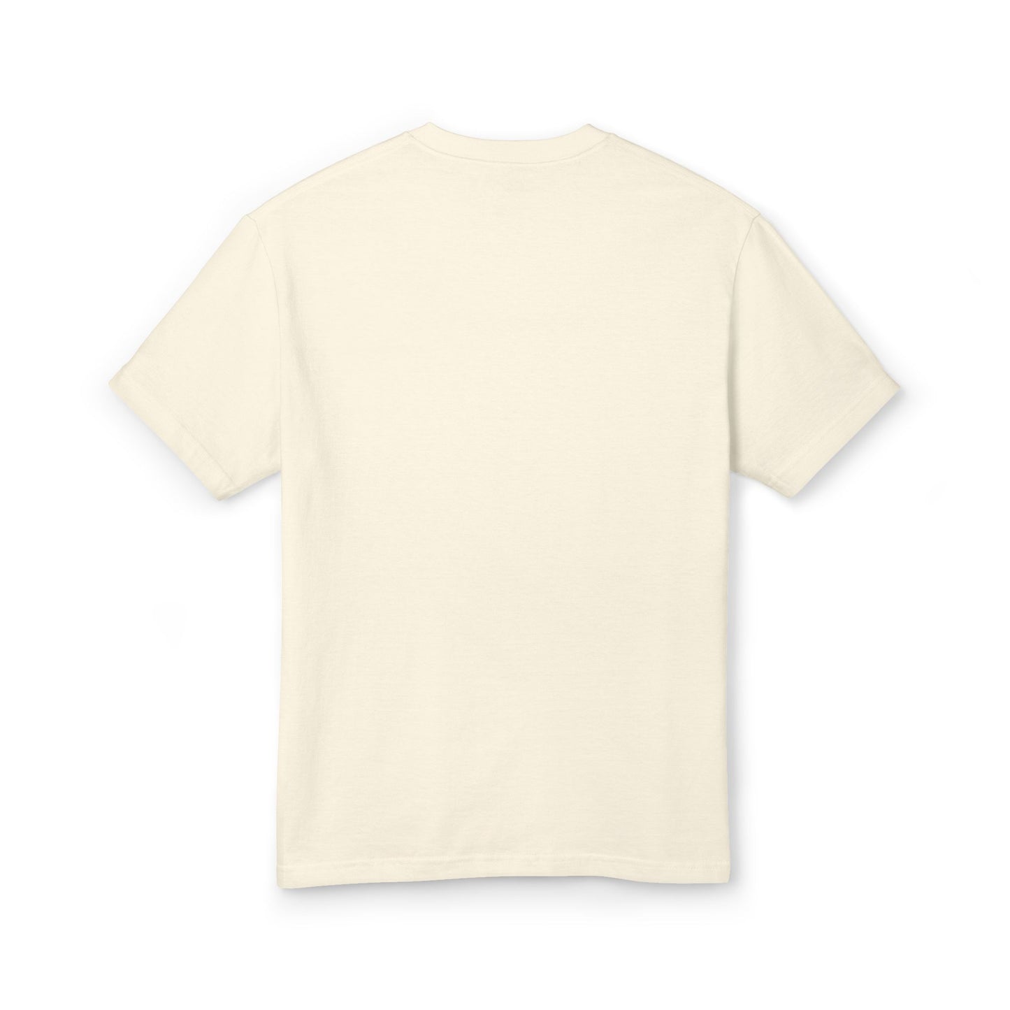 Dreamer T-Shirt - Unisex Garment-Dyed Heavyweight Cotton Tee with 'Chase your DREAMS' Design