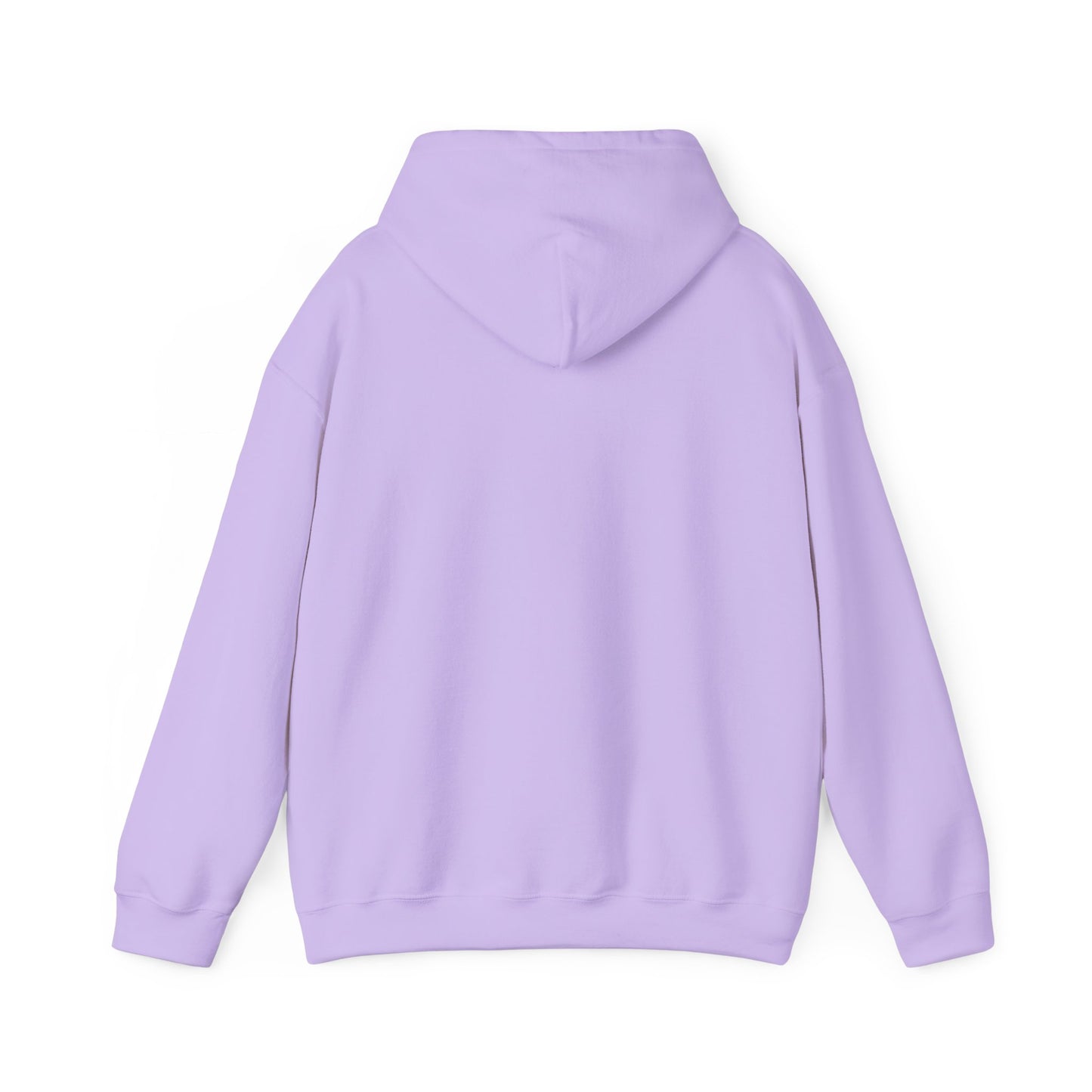 Hooded Sweatshirt - A Lie Don't Care