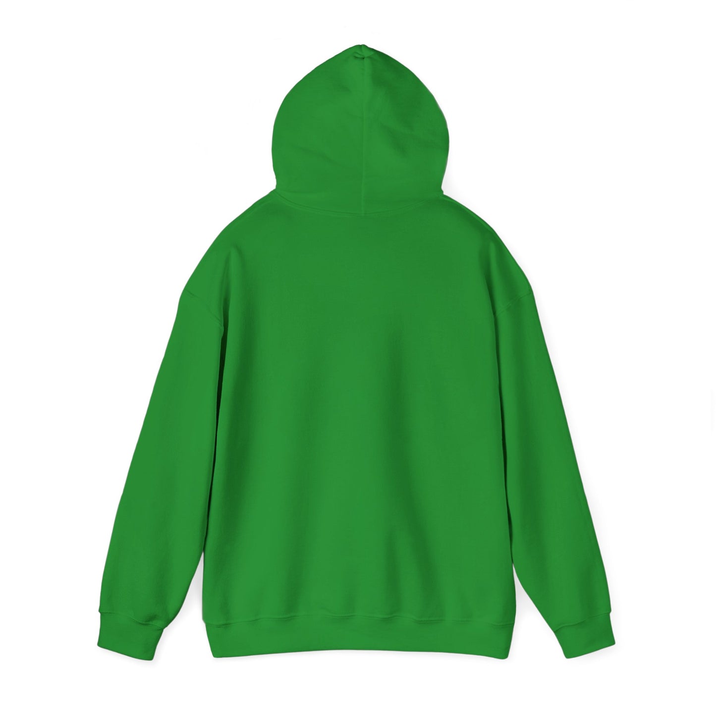 Hooded Sweatshirt - A Lie Don't Care