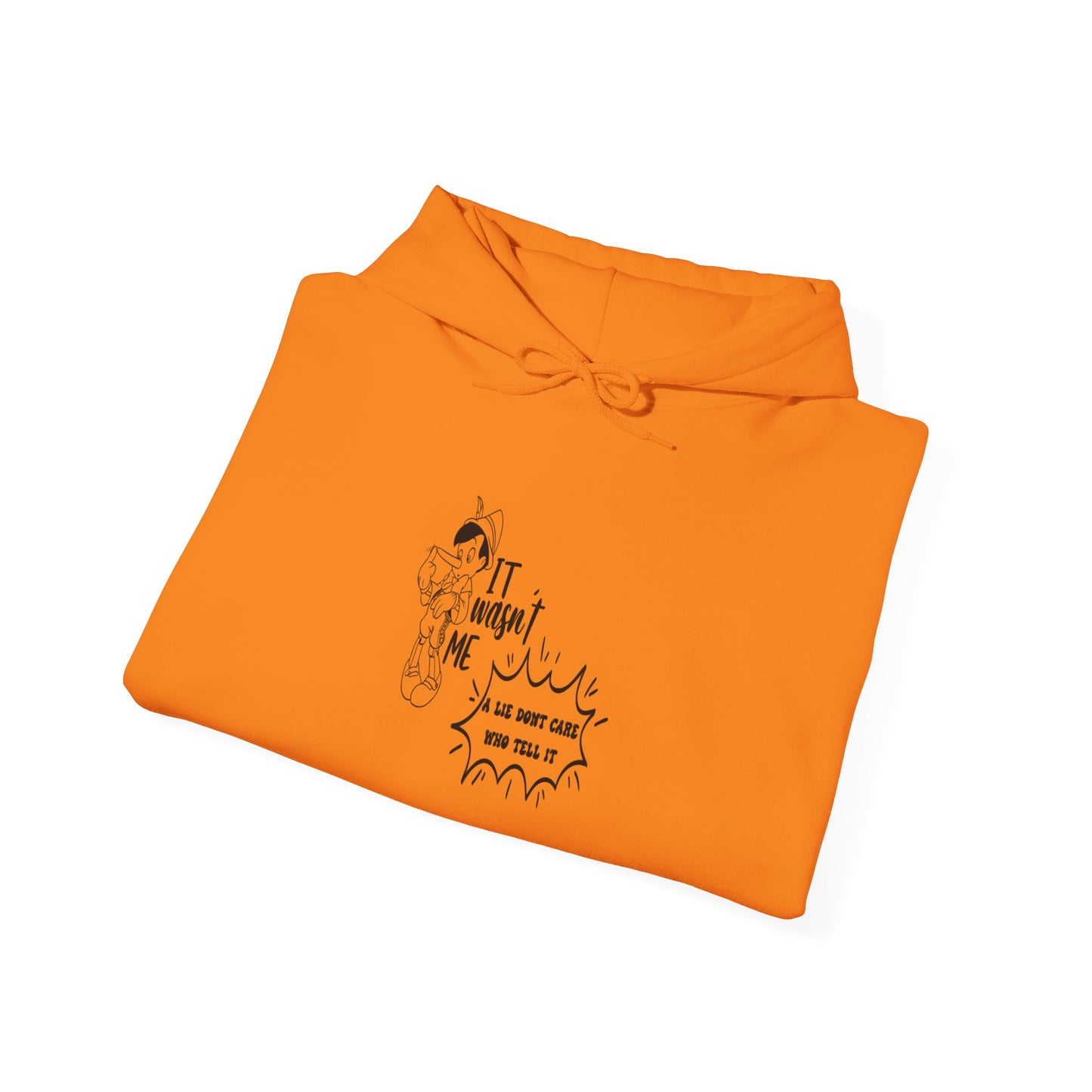 Hooded Sweatshirt - A Lie Don't Care