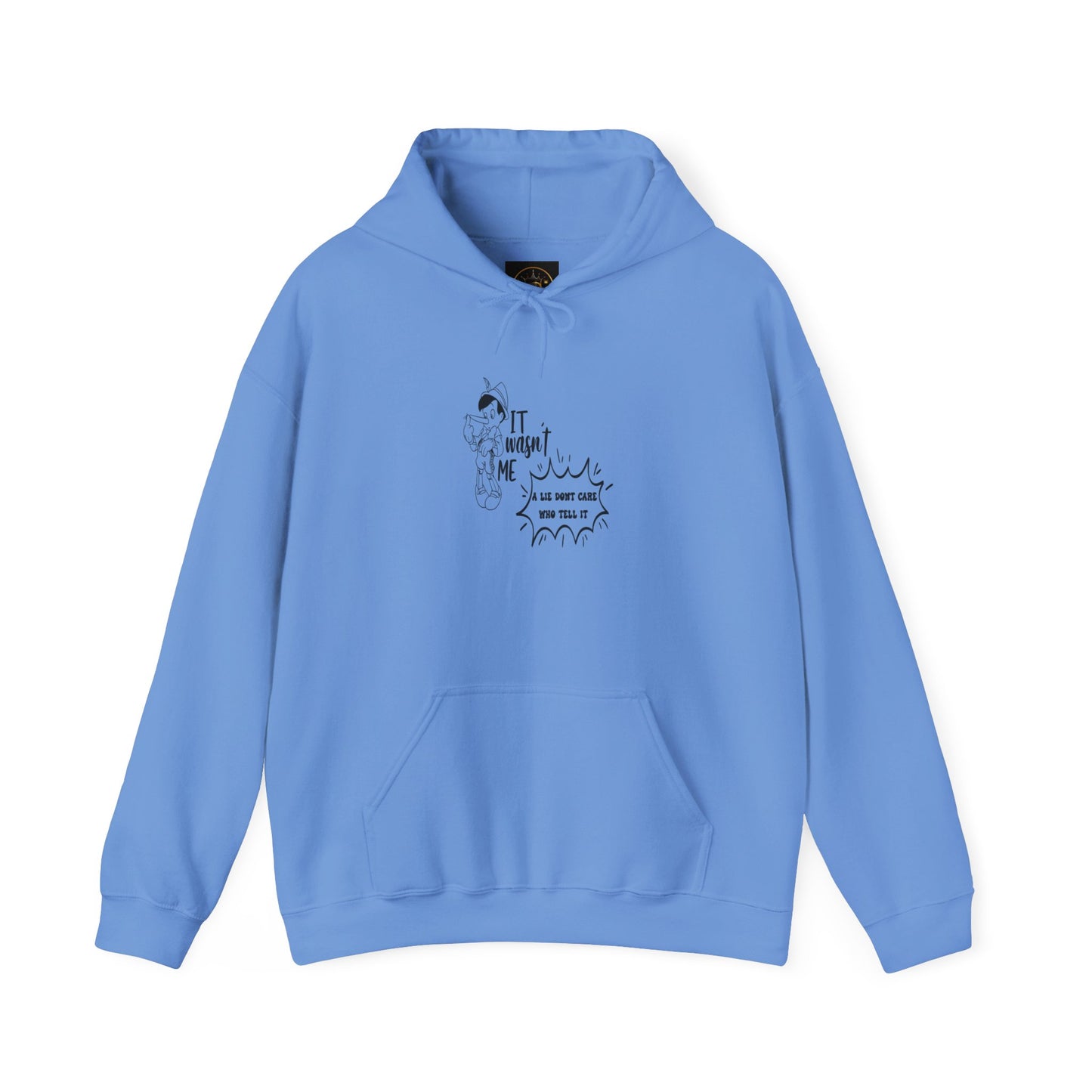 Hooded Sweatshirt - A Lie Don't Care