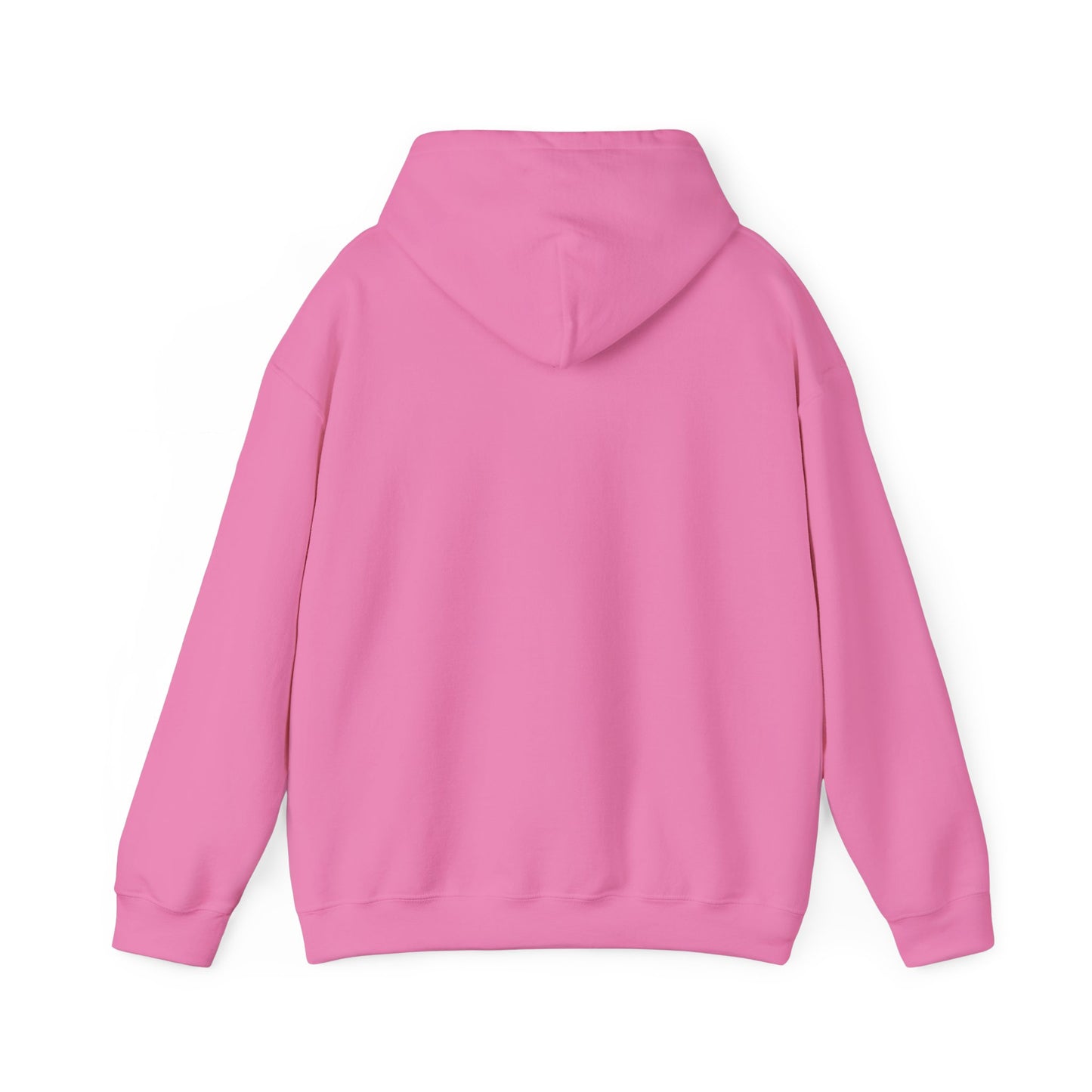 Hooded Sweatshirt - A Lie Don't Care