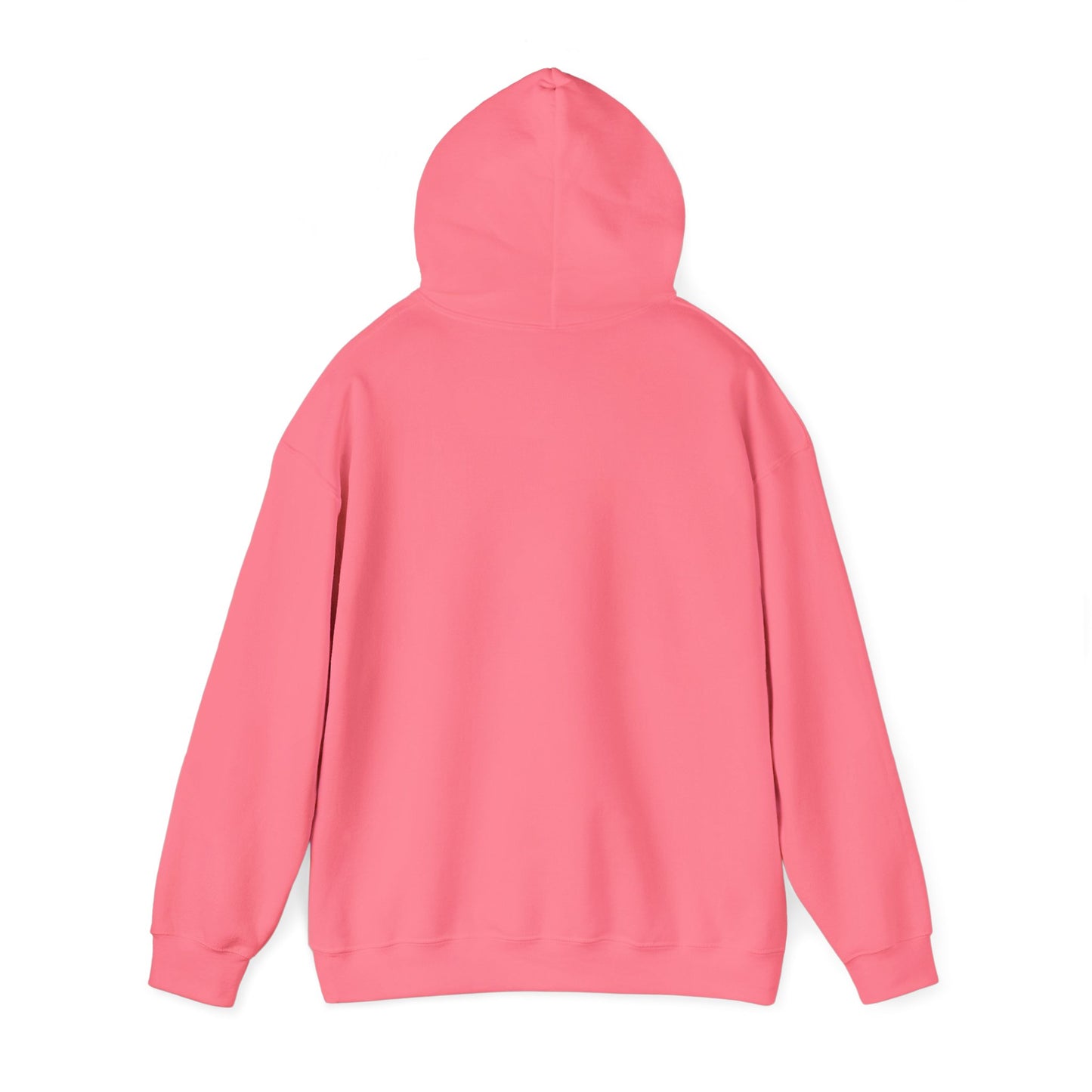 Hooded Sweatshirt - A Lie Don't Care