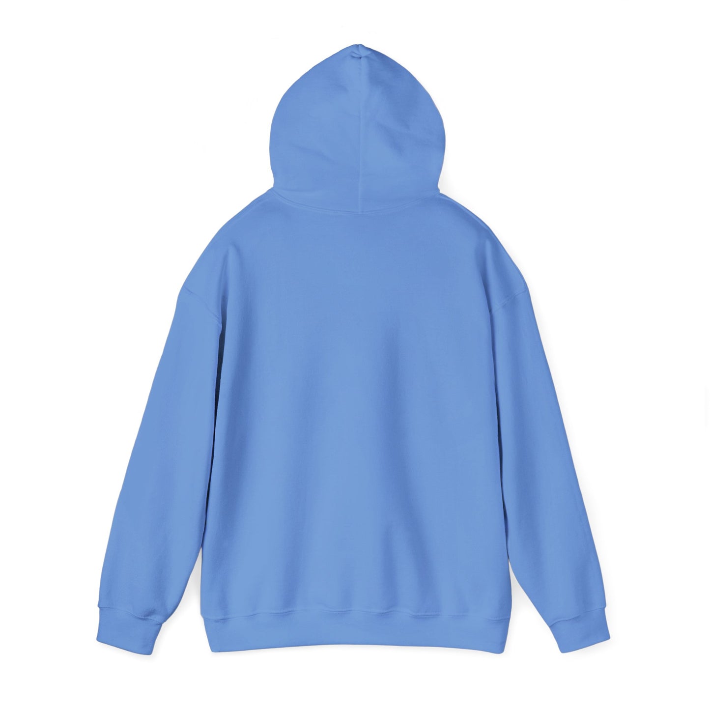 Hooded Sweatshirt - A Lie Don't Care